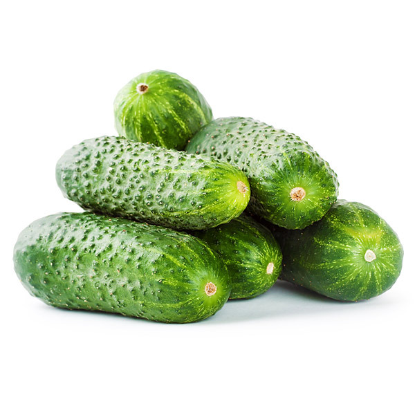 En elegant Gurka, Närodlad gurka med naturligt utseende och känsla. Detaljerad utformning med realistiskt bladverk. 